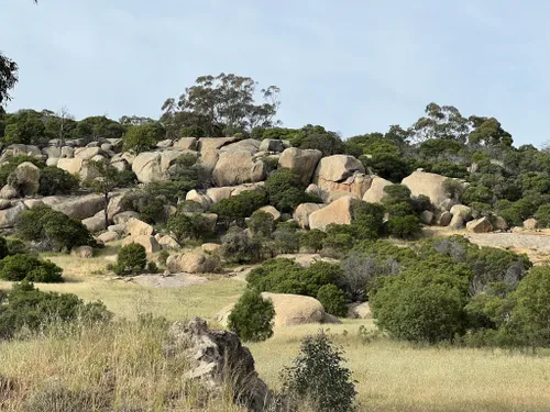 Best Hikes and Trails in Mount Korong Scenic Reserve | AllTrails