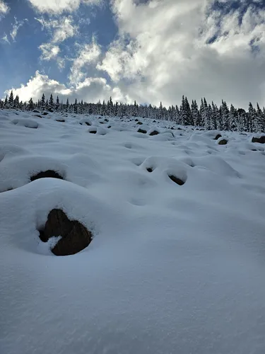 Red lodge ice