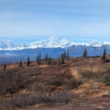 Curry Ridge Trail, Alaska - 822 Reviews, Map | AllTrails