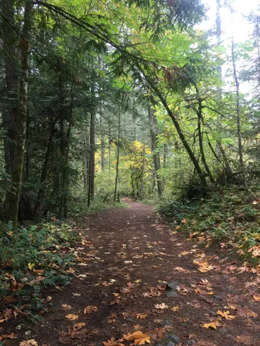 10 Best Hikes and Trails in Mount Work Regional Park | AllTrails