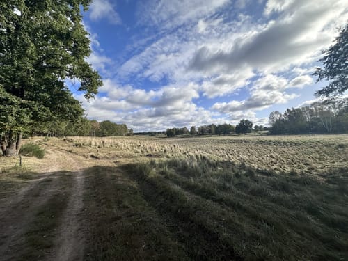 Döberitzer Heide ab Spandau