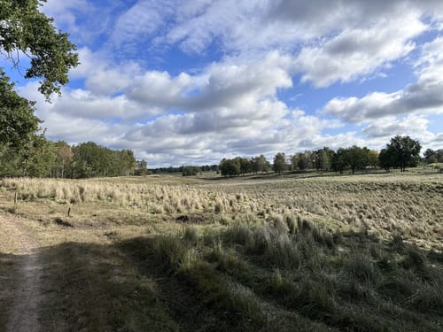Döberitzer Heide ab Spandau