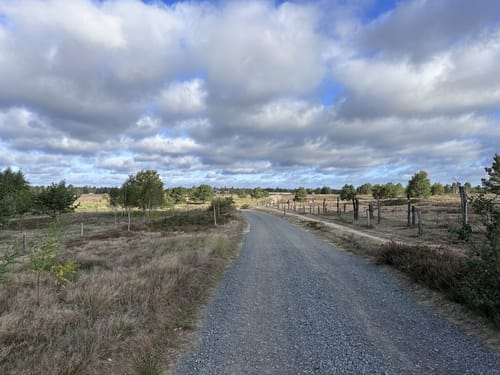 Döberitzer Heide ab Spandau