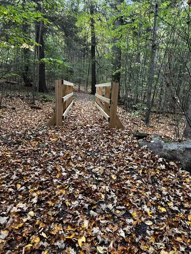 Cherry springs clearance state park hiking