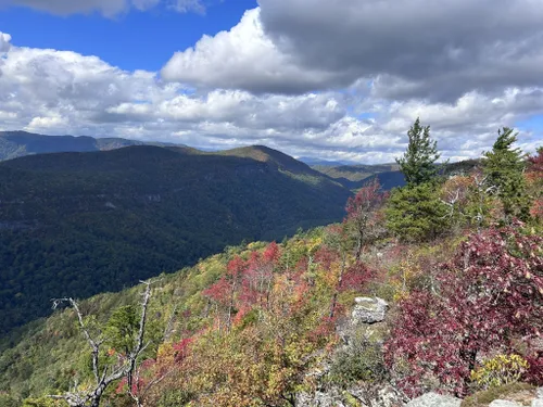 10 Best Hikes and Trails in Linville Gorge Wilderness