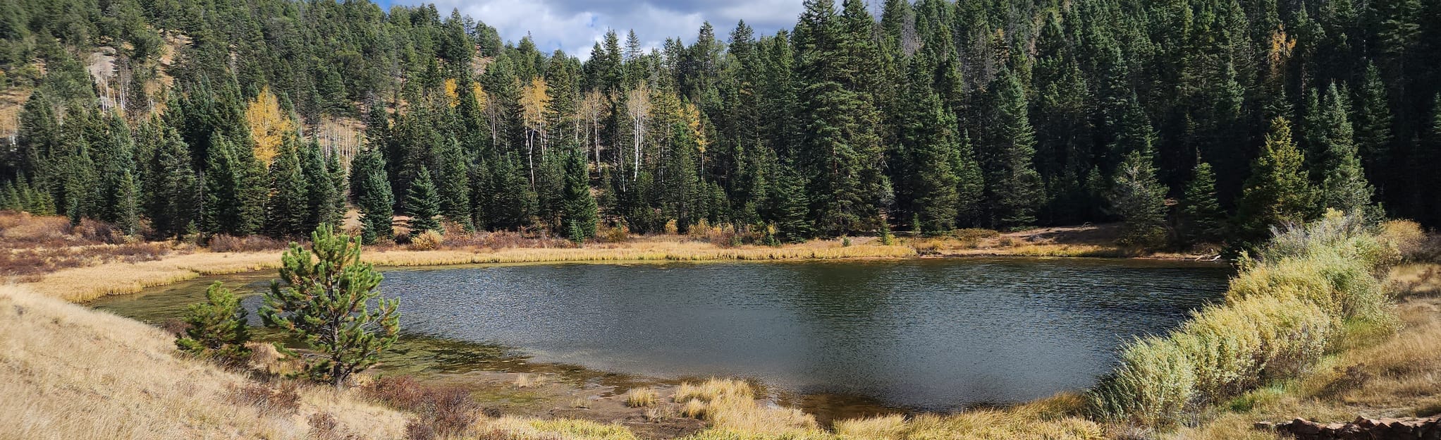 Rock Pond, Rock Canyon, and Outlook Ridge Trails Loop 815 Fotos