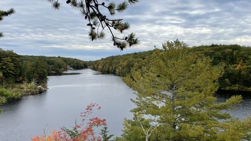 Ell pond shop preserve trailhead