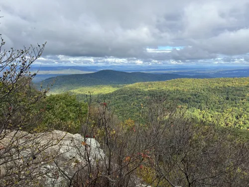 10 Best Bird Watching Trails in Shenandoah National Park | AllTrails