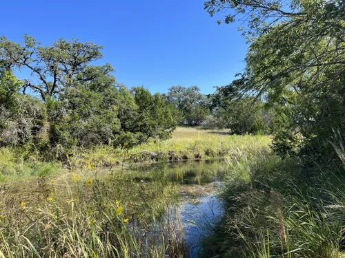 Trails in Hill Country State Natural Area, Texas, United States 66915994 | AllTrails.com