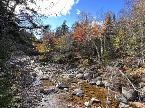 Sawyer Pond: A special place in the mountains, Hiking News