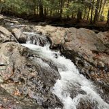 Bingham Falls Trail, Vermont - 1,350 Reviews, Map | AllTrails