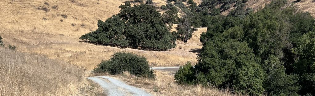 The Santa Clara Valley countryside south of San Jose is absolutely gorgeous  from the Coyote Peak