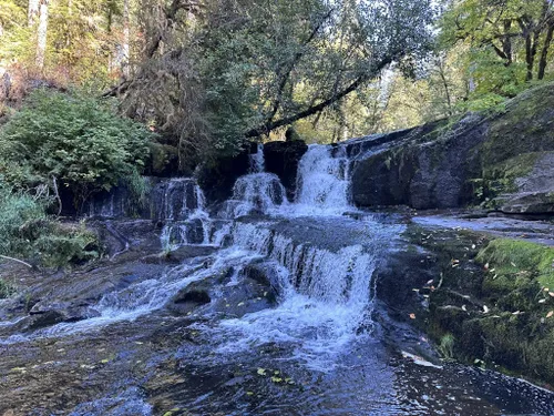 mappa del fiume alsea oregon