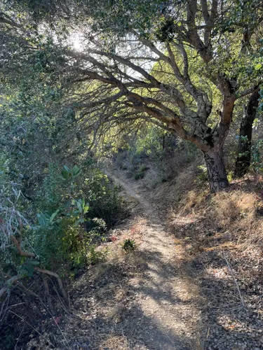 Best River Trails In Castro Valley Alltrails 9340