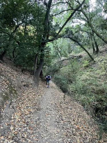 Best River Trails In Castro Valley Alltrails 2143