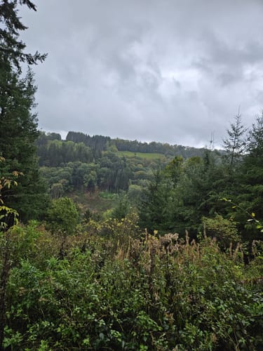 Monschau-Rurtal-Rundweg 35