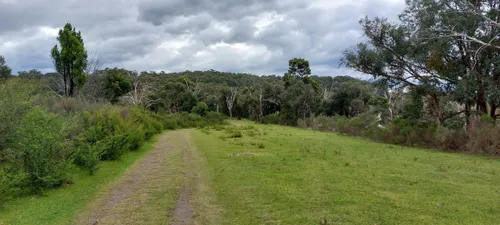 Trek dandenong online road