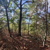 Scotts Gap Loop Trail, Kentucky - 913 Reviews, Map | AllTrails