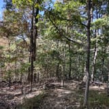 Scotts Gap Loop Trail, Kentucky - 913 Reviews, Map | AllTrails