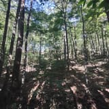 Scotts Gap Loop Trail, Kentucky - 913 Reviews, Map | AllTrails