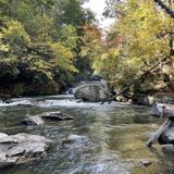 Green River Narrows, North Carolina - 1,372 Reviews, Map | AllTrails
