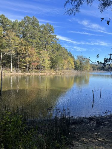 Best Hikes and Trails in Tishomingo State Park | AllTrails