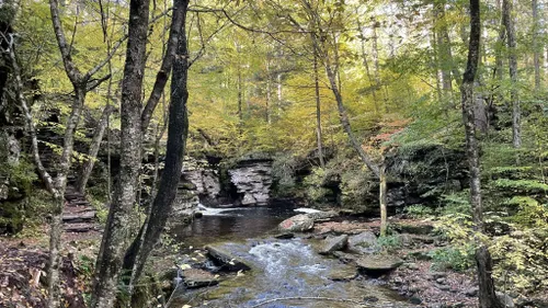 10 Best Hikes and Trails in Ricketts Glen State Park | AllTrails