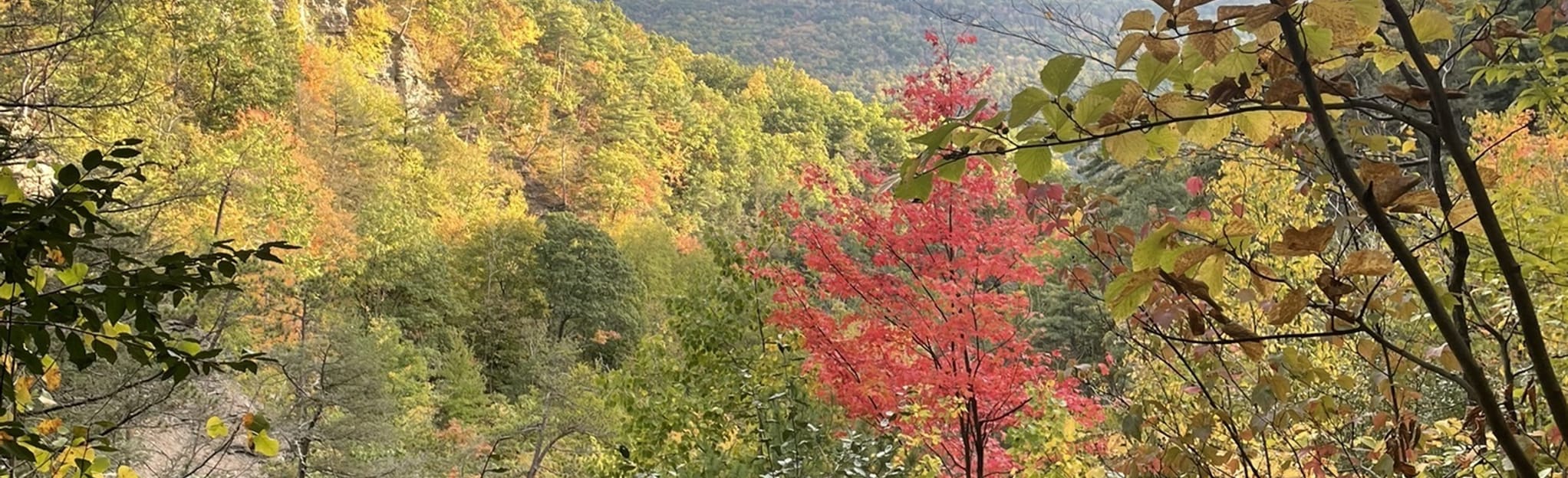 Clark Gully, New York - 87 Reviews, Map | AllTrails