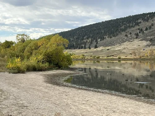 Best Hikes and Trails in Pineridge Natural Area | AllTrails