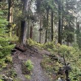 Olympic National Park Backpacking – Enchanted Valley