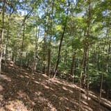 Scotts Gap Loop Trail, Kentucky - 913 Reviews, Map | AllTrails