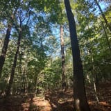 Scotts Gap Loop Trail, Kentucky - 913 Reviews, Map | AllTrails