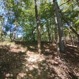 Scotts Gap Loop Trail, Kentucky - 913 Reviews, Map | AllTrails