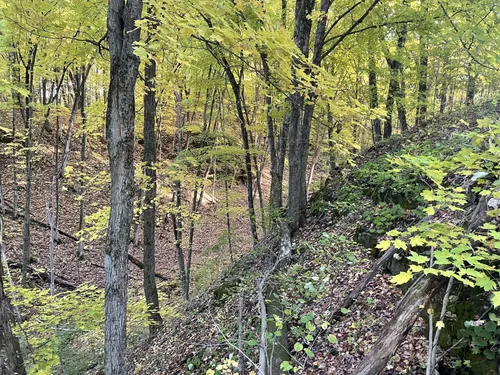 Best forest trails in Cross Plains State Park | AllTrails