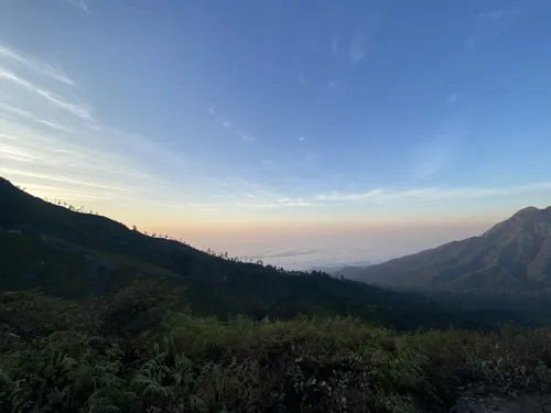 10 Best Wildflowers Trails In Banyuwangi | AllTrails