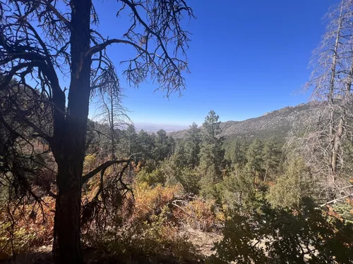 2023 Best Long Trails in Elena Gallegos Picnic Area/Albert G. Simms ...