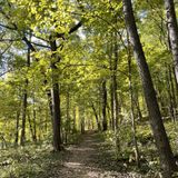 Wildcat Den Trail, Iowa - 1,023 Reviews, Map | AllTrails