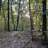 Mill Pond Reservoir Loop, Massachusetts - 1,201 Reviews, Map | AllTrails