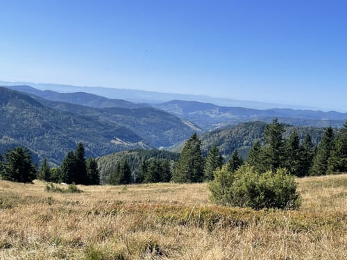 Feldbergsteig (Genießerpfad)