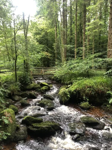 2023 Best Views Trails in Cappoquin AllTrails