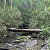 Dead Man Branch Trail, Georgia - 117 Reviews, Map | AllTrails