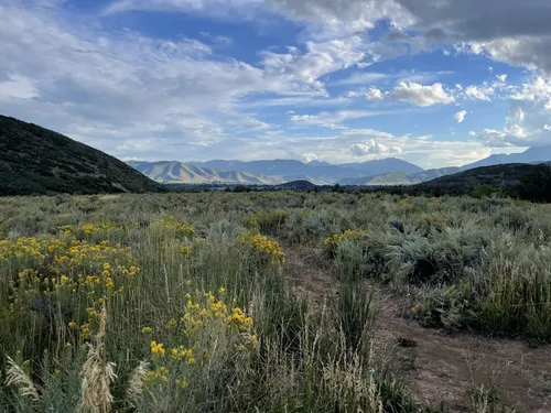 Wasatch mountain on sale state park hiking