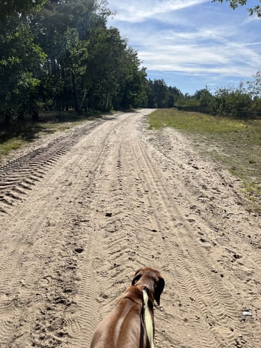 Heidschnuckenweg Etappe 8: Wietzendorf - Müden