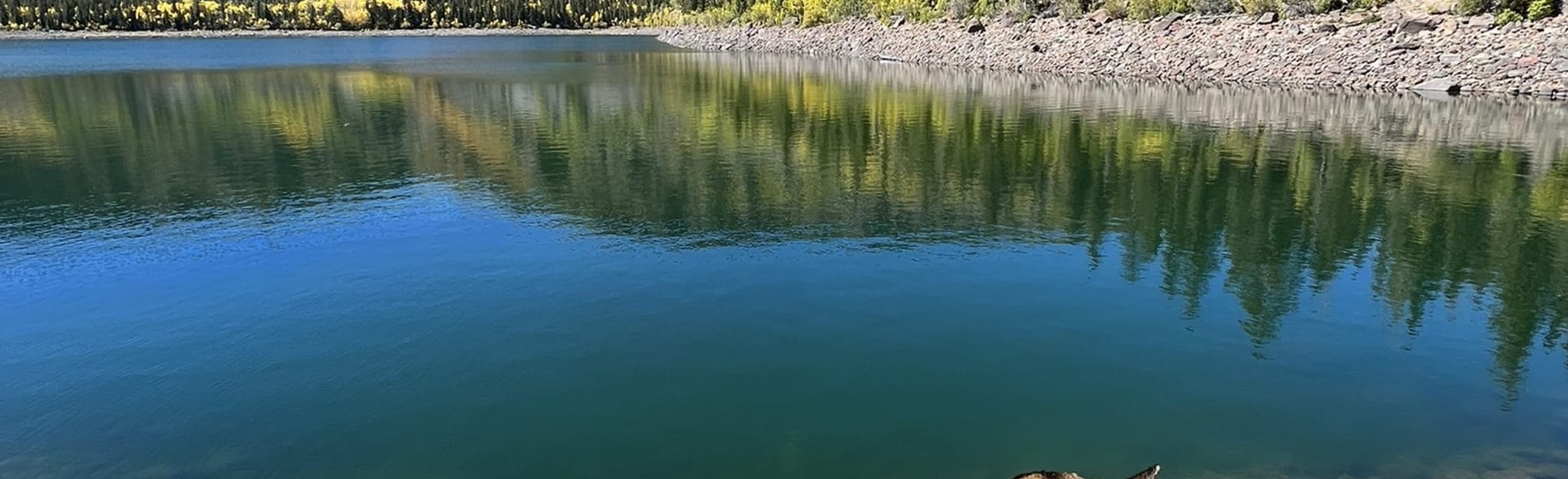 Boulder Mountain, Blind Lake, Pear Lake and Fish Creek Lake Trail 49