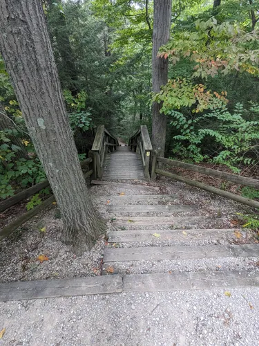 Best Hikes and Trails in Indian Point Park | AllTrails