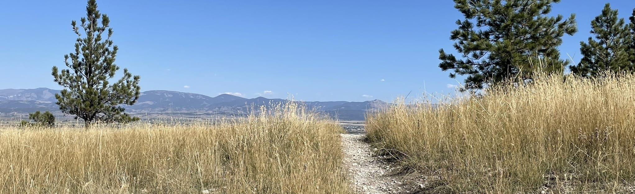 Archery Range Trail, Montana 23 Reviews, Map AllTrails
