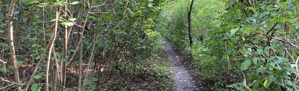 THE BEST 10 Hiking in Waltham, MA - Last Updated November 2023 - Yelp