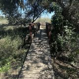 Guajome Regional Park Trail, California - 1,729 Reviews, Map | AllTrails