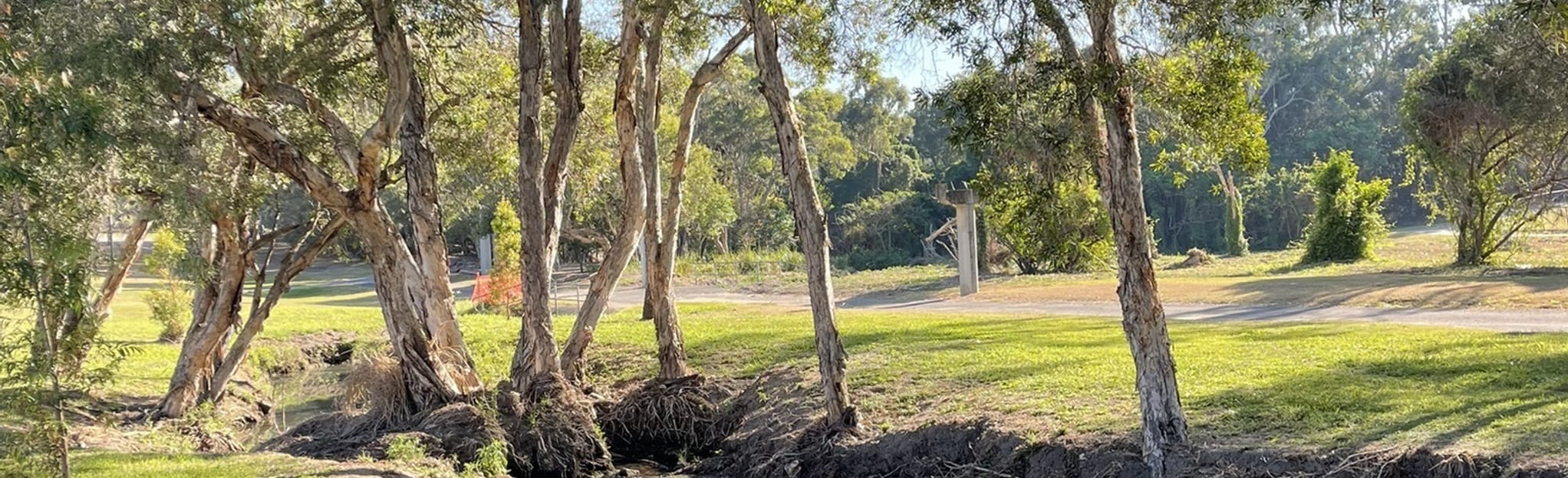 Edenbrooke Bikeway 45 fotos Queensland, Australia AllTrails