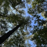 Clear Creek Bicycle Trail Alabama - EyJidWNrZXQiOiJhc3NldHMuYWxsdHJhaWxzLmNvbSIsImtleSI6InVwbG9hZHMvcGhvdG8vaW1hZ2UvNjYwNTIwODQvNzdiZTE4ZjJhZGE4ZjRiY2IxN2Q3ZjJkM2JiN2I4Y2UuanBnIiwiZWRpdHMiOnsidG9Gb3JtYXQiOiJqcGVnIiwicmVzaXplIjp7IndpZHRoIjoxNjAsImhlaWdodCI6MTYwLCJmaXQiOiJjb3ZlciJ9LCJyb3RhdGUiOm51bGwsImpwZWciOnsidHJlbGxpc1F1YW50aXNhdGlvbiI6dHJ1ZSwib3ZlcnNob290RGVyaW5naW5nIjp0cnVlLCJvcHRpbWlzZVNjYW5zIjp0cnVlLCJxdWFudGlzYXRpb25UYWJsZSI6M319fQ==